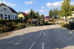 Baum auf Straße 19.09.2024