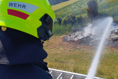 Sonnwendfeuer_20250621_005