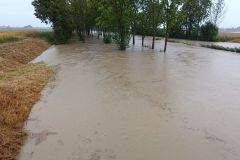 Hochwasser_Sept2024_012