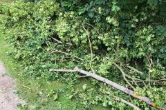 Sturmschaden am 07.06.2020