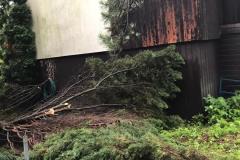 Sturmschaden am 21.06.2020