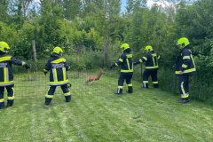 Tierrettung20250511_002