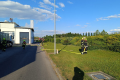 UAUebungSaria20250512_004